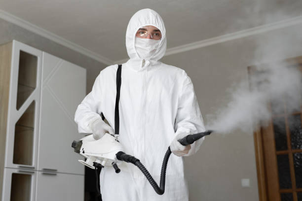 Best Environmental Consulting for Mold Prevention in Batavia, OH